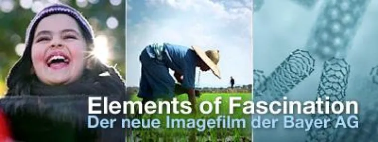 1. Platz mit eyecatcher Bild: 1. Platz mit eyecatcher