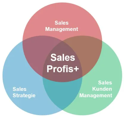 Bild: Neues Unternehmen mit Erfolgsgarantie für Ihre Sales-Projekte: Gründung von SALES PROFI+