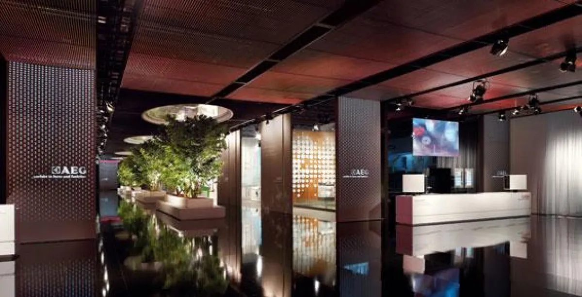 Goldener ADAM Award für den dreidimensionalen AEG Markenrelaunch. Foto: Joerg Hempel Photodesign