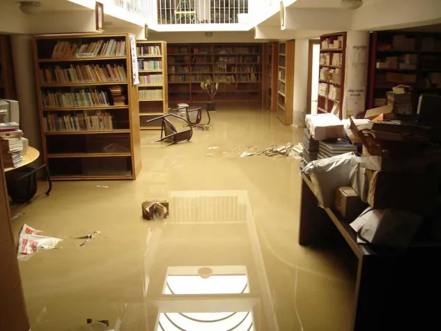 Bild: Ein Paradies für Kinder ist überflutet