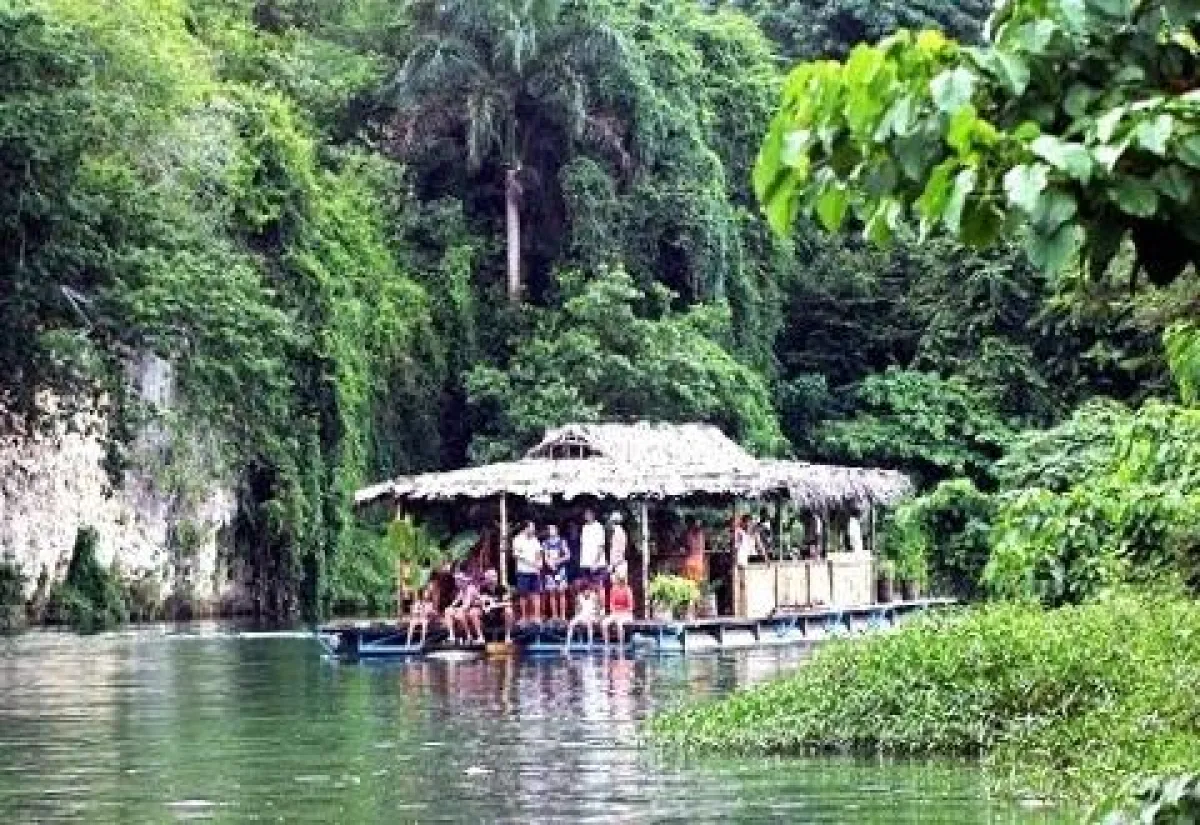 Ausflüge auf die Dschungel-Ranch