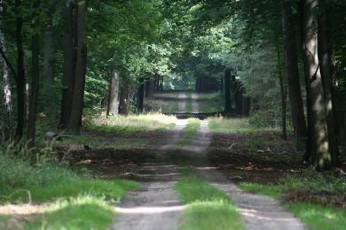 Herbstzauber im Naturpark Düvbener Heide.