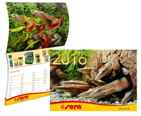 Ab sofort erhältlich: sera Kalender 2016 Bild: Ab sofort erhältlich: sera Kalender 2016