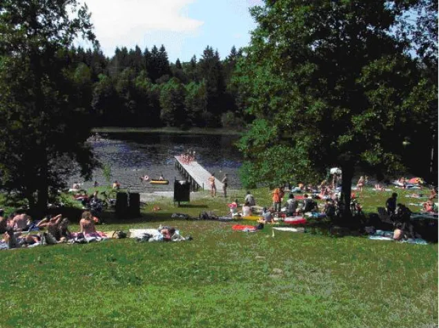 Bild: Badespaß in unseren Seen