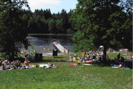 Bild: Badespaß in unseren Seen