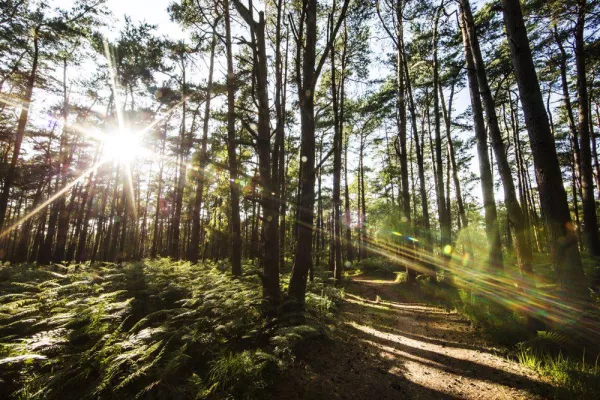 Könige der Lüfte – im Revier der seltenen Seeadler Bild: Könige der Lüfte – im Revier der seltenen Seeadler