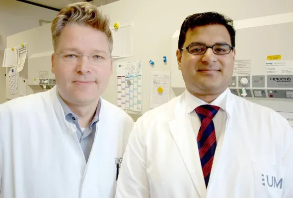 Bild: Stress im Sarkom: Neue Ansätze für die Krebstherapie entdeckt