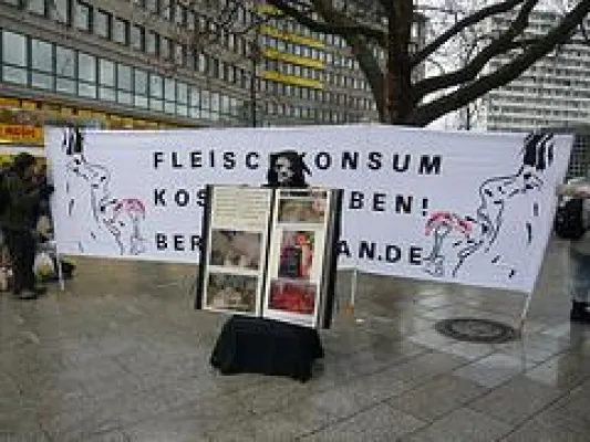 Kühe und Schweine legen Ku(h)damm zum MeatOut lahm Bild: Kühe und Schweine legen Ku(h)damm zum MeatOut lahm