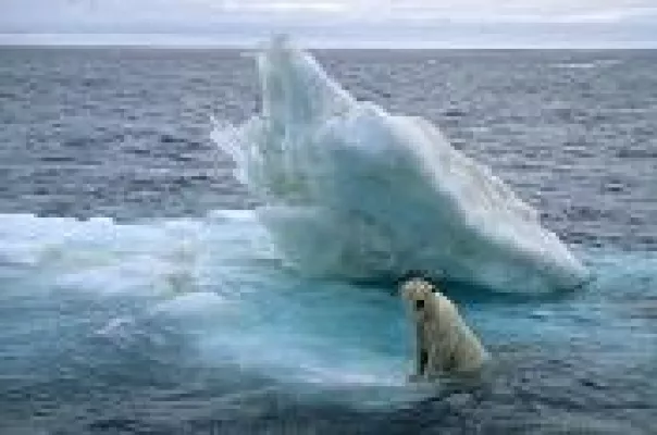 Bild: „Königreich Arktis“ – eine aufregende Expedition ins Tierreich als Kinderfilm des Monats September