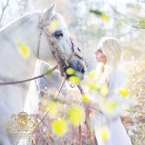 GoldStallion - Luxus für Reiter und Pferd Bild: GoldStallion - Luxus für Reiter und Pferd
