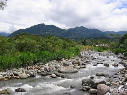 Bild: Grüne Geldanlagen - Ökoinvestfachbuch berichtet positiv über Forestfinance-Investments