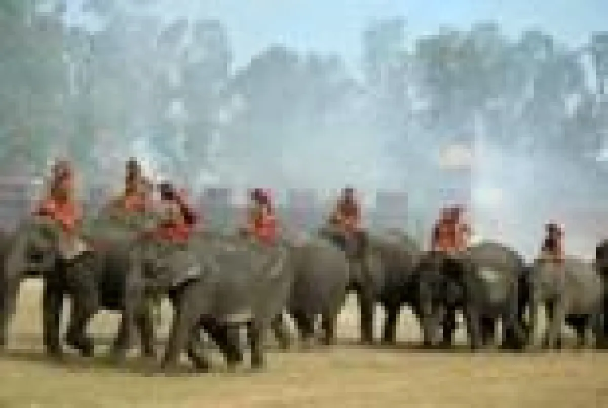 Elefantenfest, Surin, Thailand