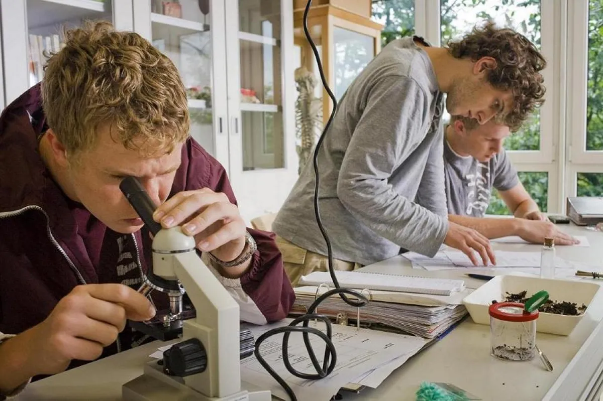 Die Welt der Biologie im Lietz-Bildungsjahr unterm Mikroskop entdecken.