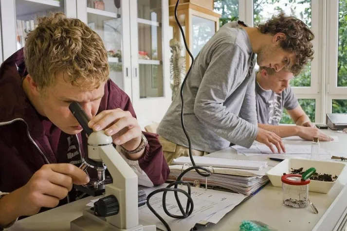 Bild: Nachhaltiges Lernen statt Turboabitur