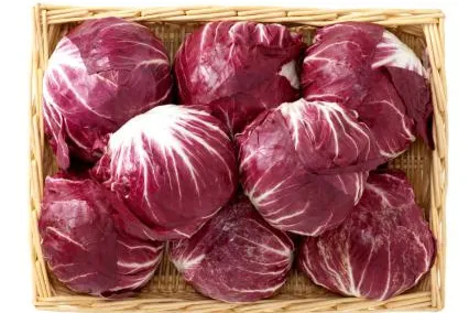 Bild: Nitratreiches Gemüse senkt den Blutdruck – heute: Radicchio (Serie)
