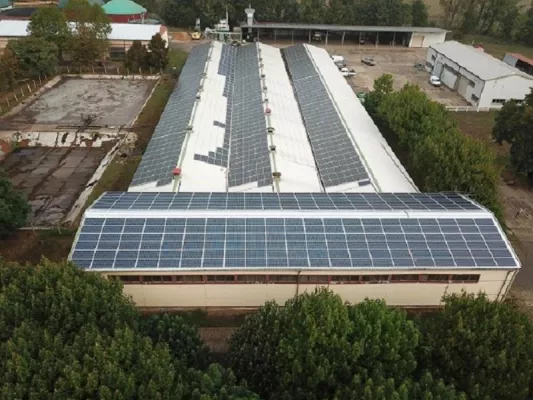 Bild: Sun Contracting AG: Startschuss für 1,5 MW Solarstromprojekt bei Magdeburg