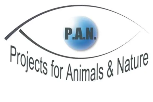 Bild: Blühende Geschäfte – ARD und P.A.N. dokumentieren das Leiden der Hunde in Italien.