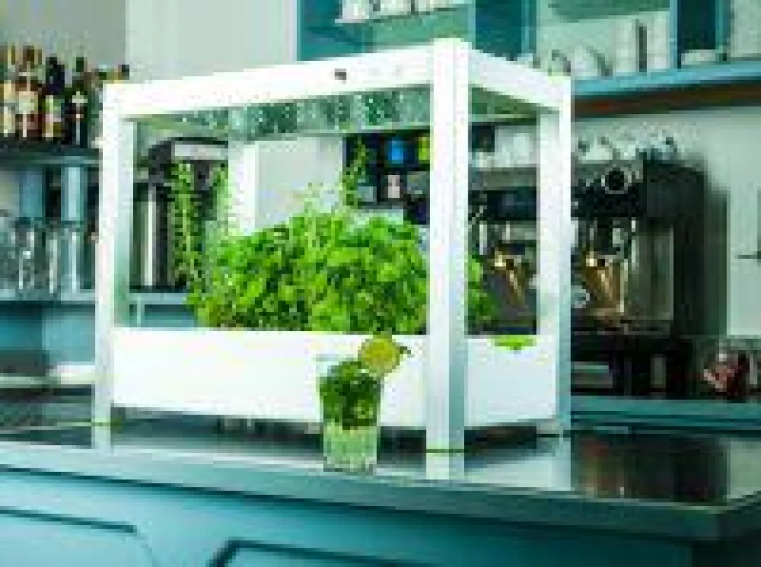 GreenUnit 2.0 Zimmergewächshaus mit frischen Kräutern in einer Bar