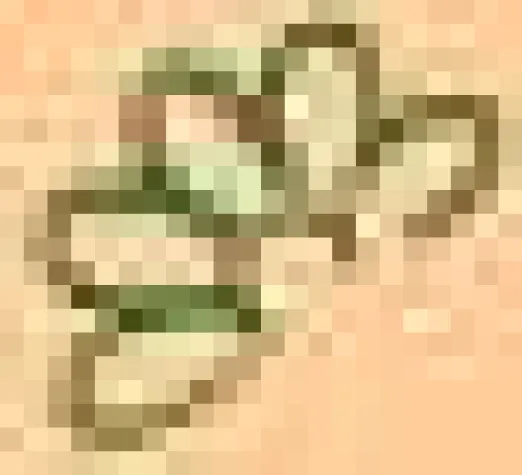 Bild: Schüßler-Salze - Ausbildung in Hannover