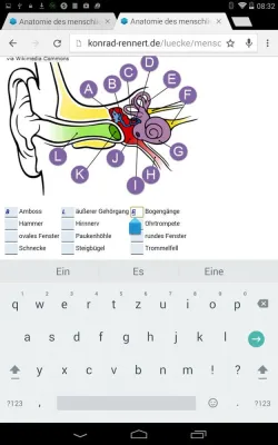 Bild: Fallbeispiele zur Weiterbildung von Quizdidaktikern