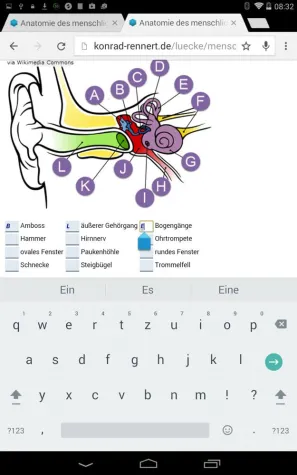 Fallbeispiele zur Weiterbildung von Quizdidaktikern Bild: Fallbeispiele zur Weiterbildung von Quizdidaktikern