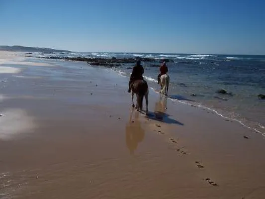 Bild: Auswirkungen der Trockenheit in Portugal
