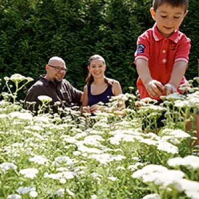 Bild: Pinot blanc Alte Reben 2004 und Chardonnay ohne 2011 – Weingut Hareter Thomas in orange