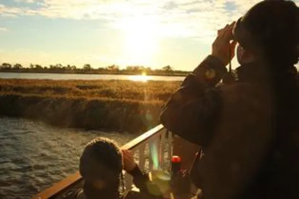 Bild: Auf Safari an der Ostseeküste – den Kranichen ganz nah auf Fischland-Darß-Zingst