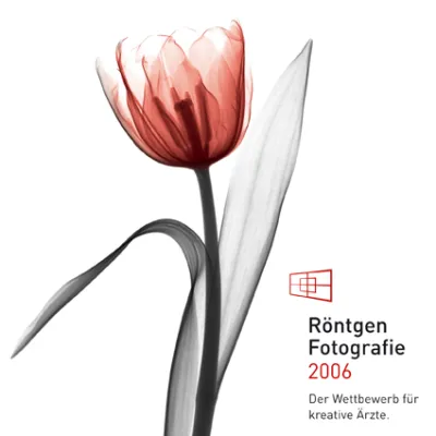 Röntgen Fotografie 2006 – Der Wettbewerb für kreative Ärzte Bild: Röntgen Fotografie 2006 – Der Wettbewerb für kreative Ärzte