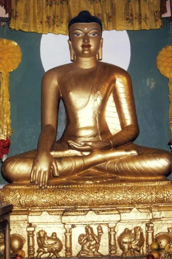 Bild: Grundlage zum Meditieren: Buddhismus lernen – von allen Orten der Welt