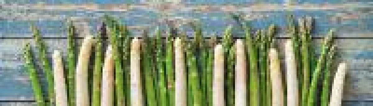 Zwei, die beim effektiv Abnehmen zusammengehören: PRECURSOR und Spargel