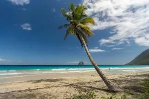 Comité Martiniquais du Tourisme vermeldet Besucherrekord Bild: Comité Martiniquais du Tourisme vermeldet Besucherrekord