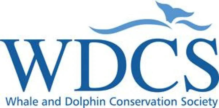 Wal- und Delfinschutz im Mittelmeer: Fortsetzung regionalen Artensterbens befürchtet Bild: Wal- und Delfinschutz im Mittelmeer: Fortsetzung regionalen Artensterbens befürchtet