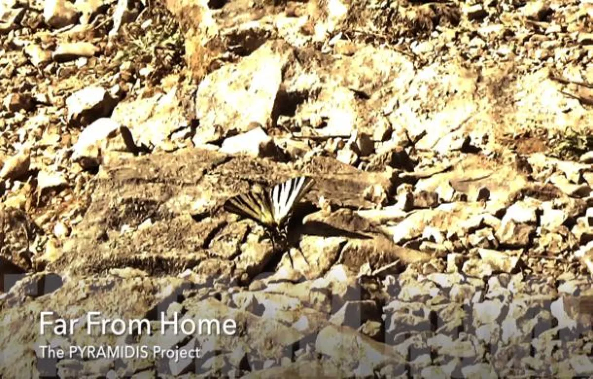 Far From Home Video von The PYRAMIDIS Project