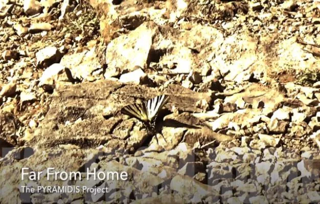 Bild: Videoveröffentlichung 'Far From Home'