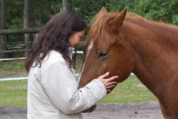 Bild: Naturheilkundlich und  ganzheitlich – Entgiftung des (Pferde-) Körpers