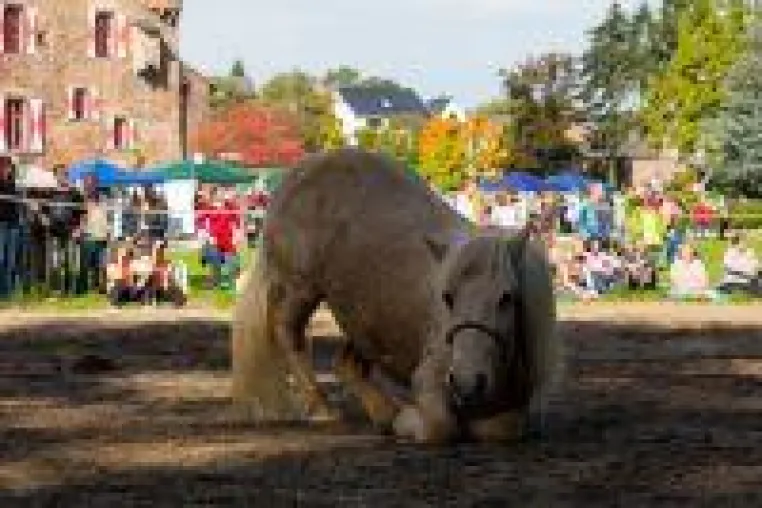 Outdoor-Reitsportmesse für Pferdebegeisterte - Erste "Equitage" auf Burg Satzvey vom 20. bis 22. September Bild: Outdoor-Reitsportmesse für Pferdebegeisterte - Erste "Equitage" auf Burg Satzvey vom 20. bis 22. September
