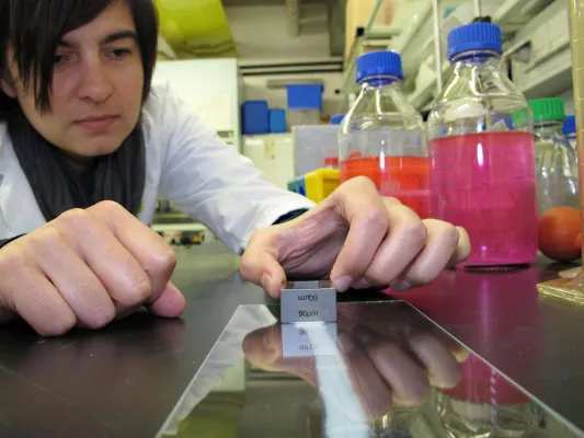 Bild: Grazer Enzyme revolutionieren Welt der Lacke