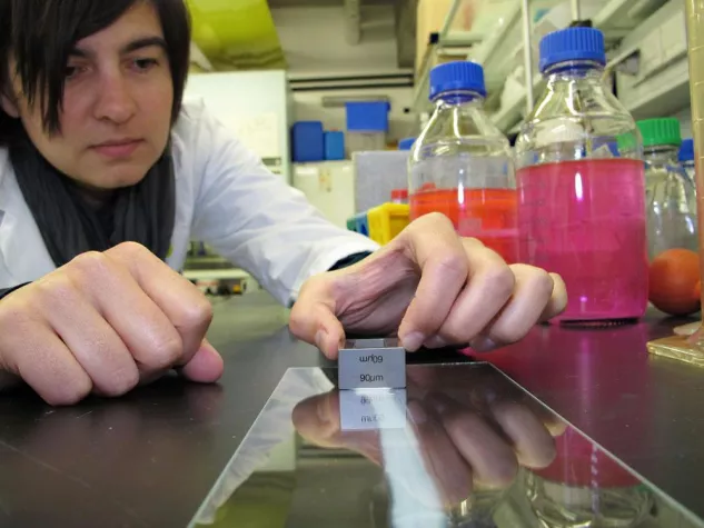 Grazer Enzyme revolutionieren Welt der Lacke Bild: Grazer Enzyme revolutionieren Welt der Lacke