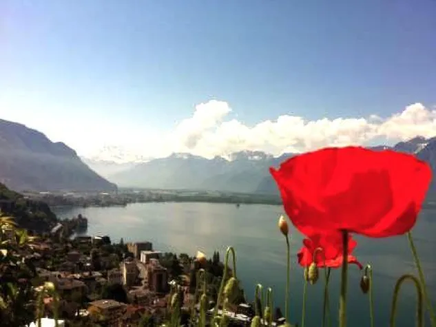 Bild: Hüttenfeeling im Ferienhaus am Genfersee
