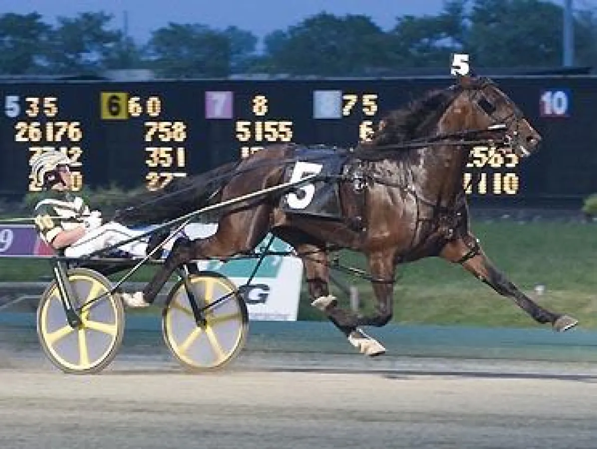 Get Of Dodge muss geschlagen werden bei den $175.000 NJ Sire Stakes auf The BigM!