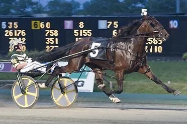 Bild: Die Nacht der Traber Champions auf Meadowlands