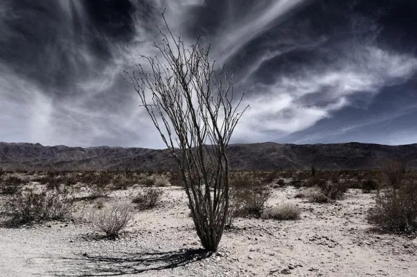 Bild: Marcus F. Hofschulz/Kori: erfolgreiche Ausstellung auf der photokina 2012
