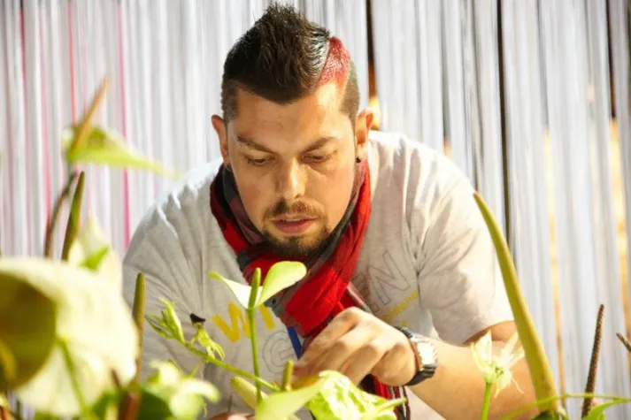 Bild: Frühlingsfloristik 2012: Gelb, gelber, noch mehr gelb