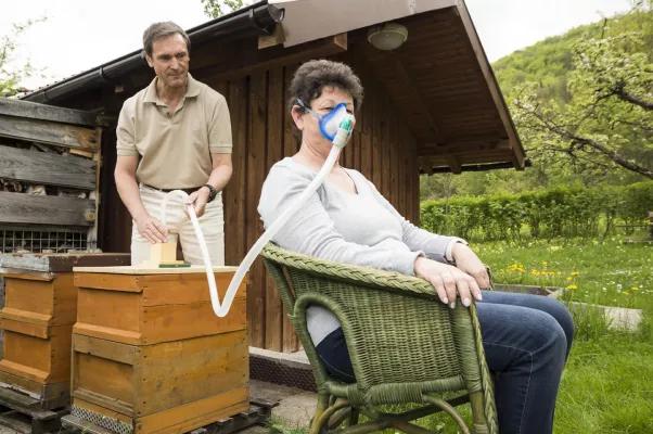 Bild: Apitherapie - Bienen in der Alternativmedizin