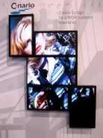 SDI präsentiert collagenfähige Digital-Signage-Lösung auf der viscom 2009 Bild: SDI präsentiert collagenfähige Digital-Signage-Lösung auf der viscom 2009