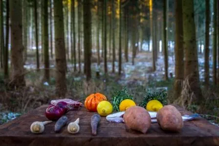Fein-lässige Waldpartie in Südniedersachsen Bild: Fein-lässige Waldpartie in Südniedersachsen
