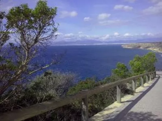 Bild: Mit Rindchen’s Weinkontor zur Mandelblüte nach Mallorca
