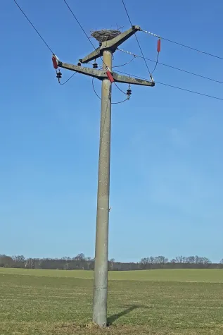 Bild: Umweltschutz: E.DIS baut Nisthilfen in Mecklenburg-Vorpommern für Artenvielfalt der Störche