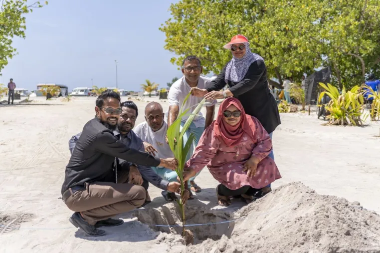 Bild: Grünes Wunder vom Nova Maldives